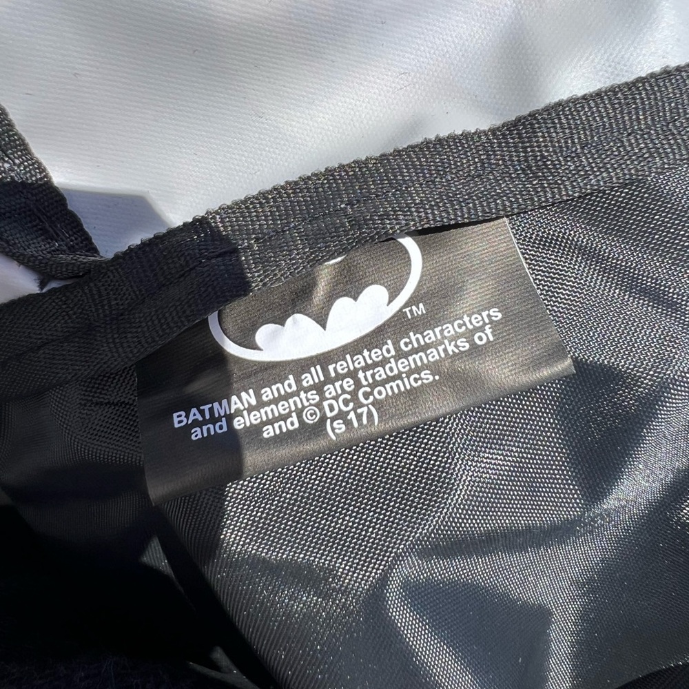 Batman and Robin Backpack - Picture 8 of 9